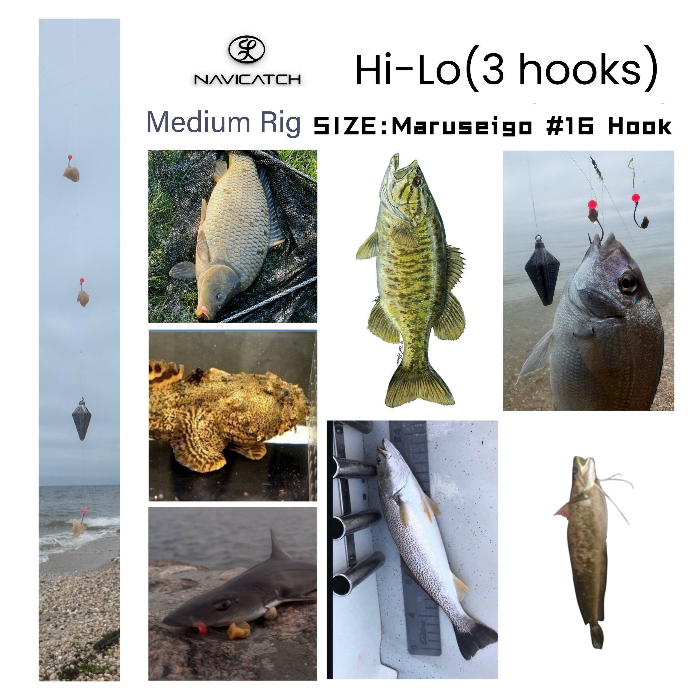 USA-Designed Bottom Fishing Rig Kit – Hand-Tied Hooks – 3-Sinker Set ...